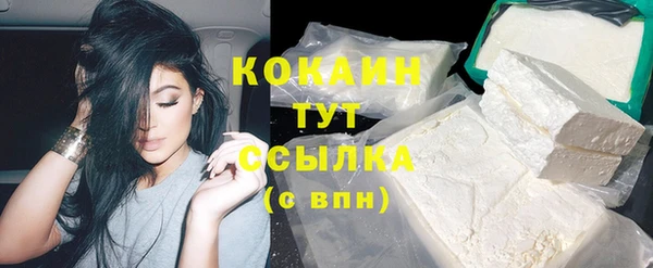 гидра Гусь-Хрустальный