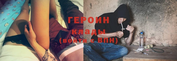 гидра Гусь-Хрустальный