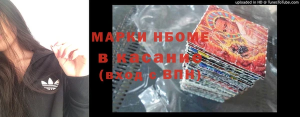 гидра Гусь-Хрустальный