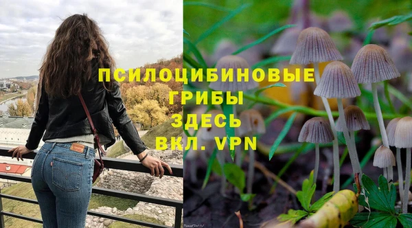 мдпв Гусиноозёрск