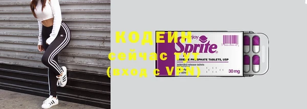 гидра Гусь-Хрустальный