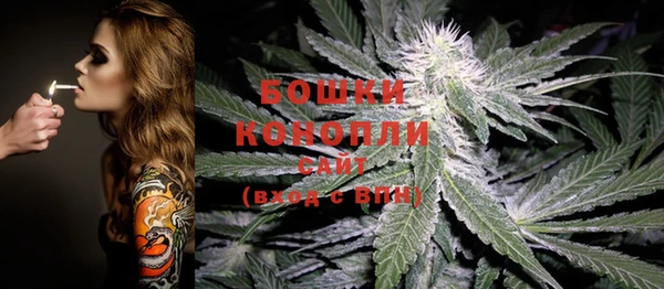 мдпв Гусиноозёрск