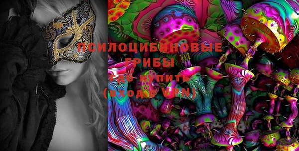 гидра Гусь-Хрустальный