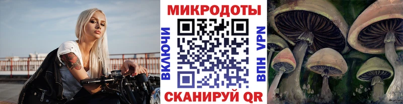 Галлюциногенные грибы MAGIC MUSHROOMS Купить где Калачинск